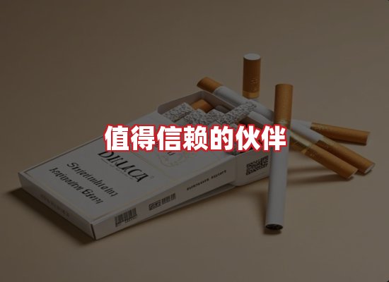专业团队